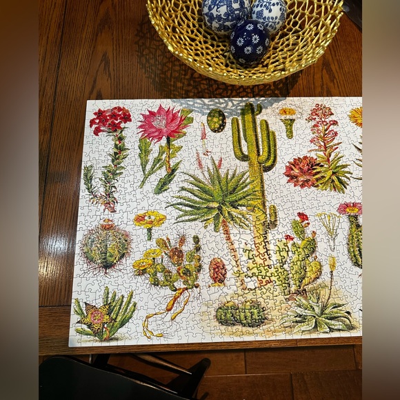 🧩 EUC New York Puzzle Company 1000 pc Jigsaw Puzzle- ‘Cacti - Cactus’ - Picture 3 of 7